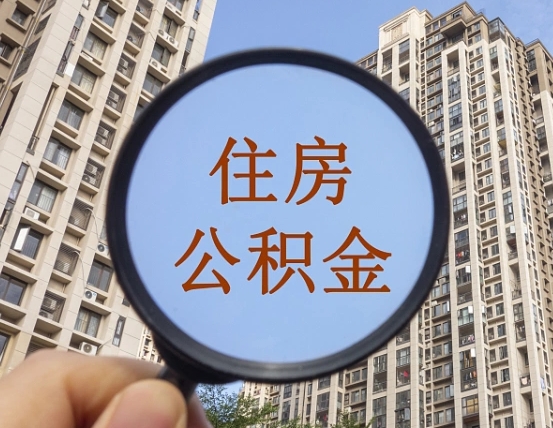 项城退休后查不到公积金明细了吗（退休后公积金查询不到原因）